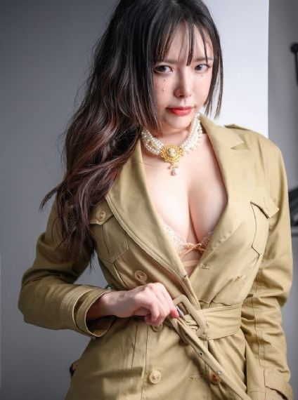 漂亮的部长夫人中文版