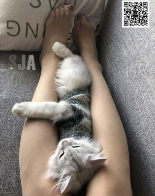 火影忍者在线观看免费全集