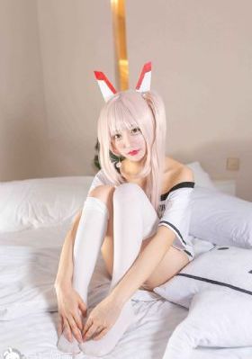 陈真电视剧20集免费观看